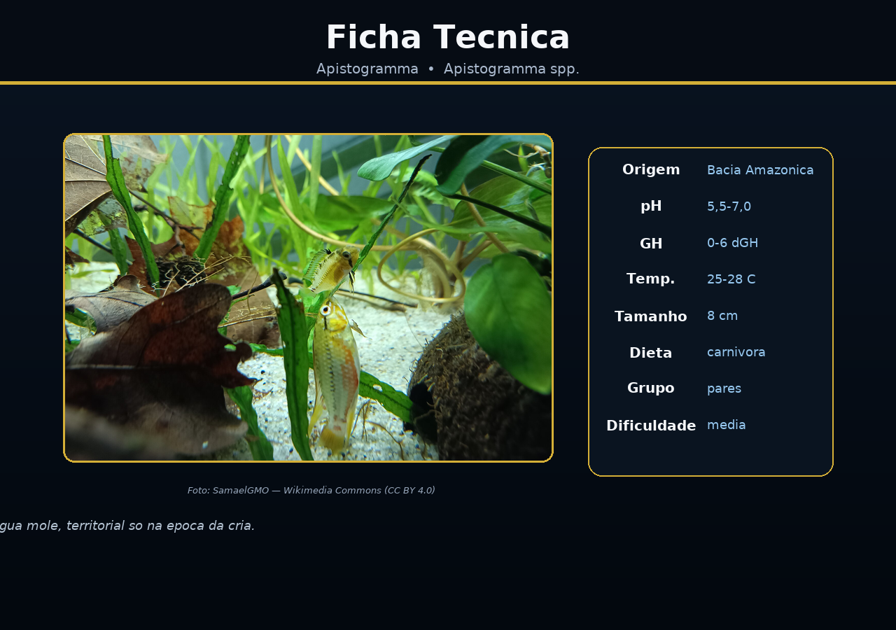 Apistogramma