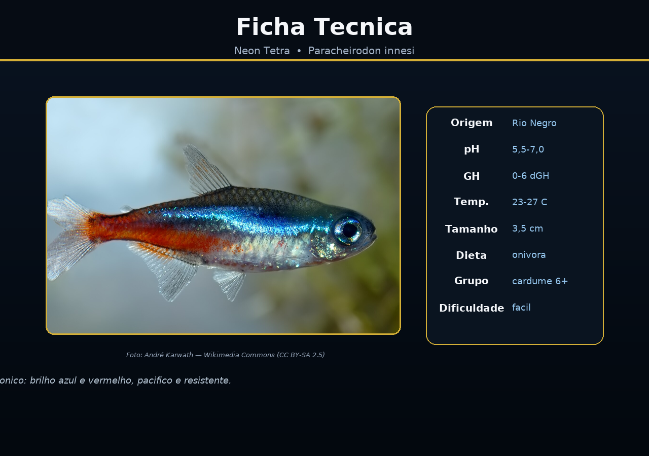 Neon Tetra