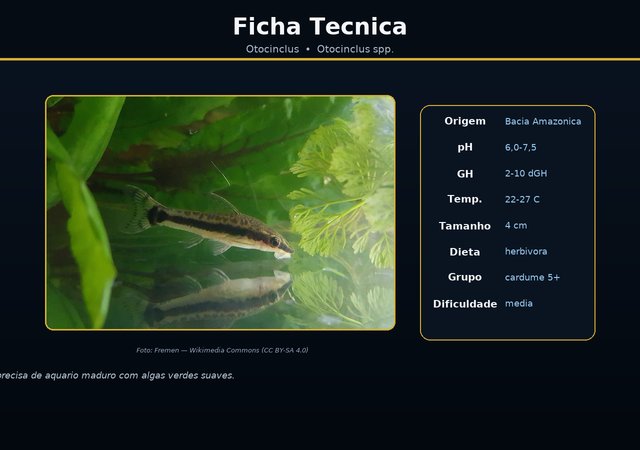 Otocinclus
