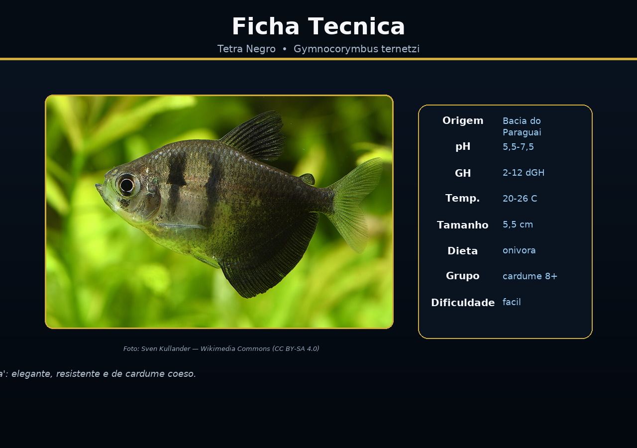 Tetra Negro
