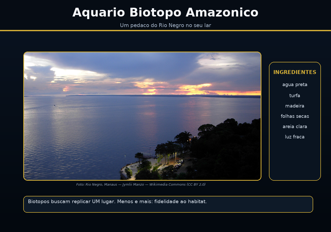 Aquário de biótopo