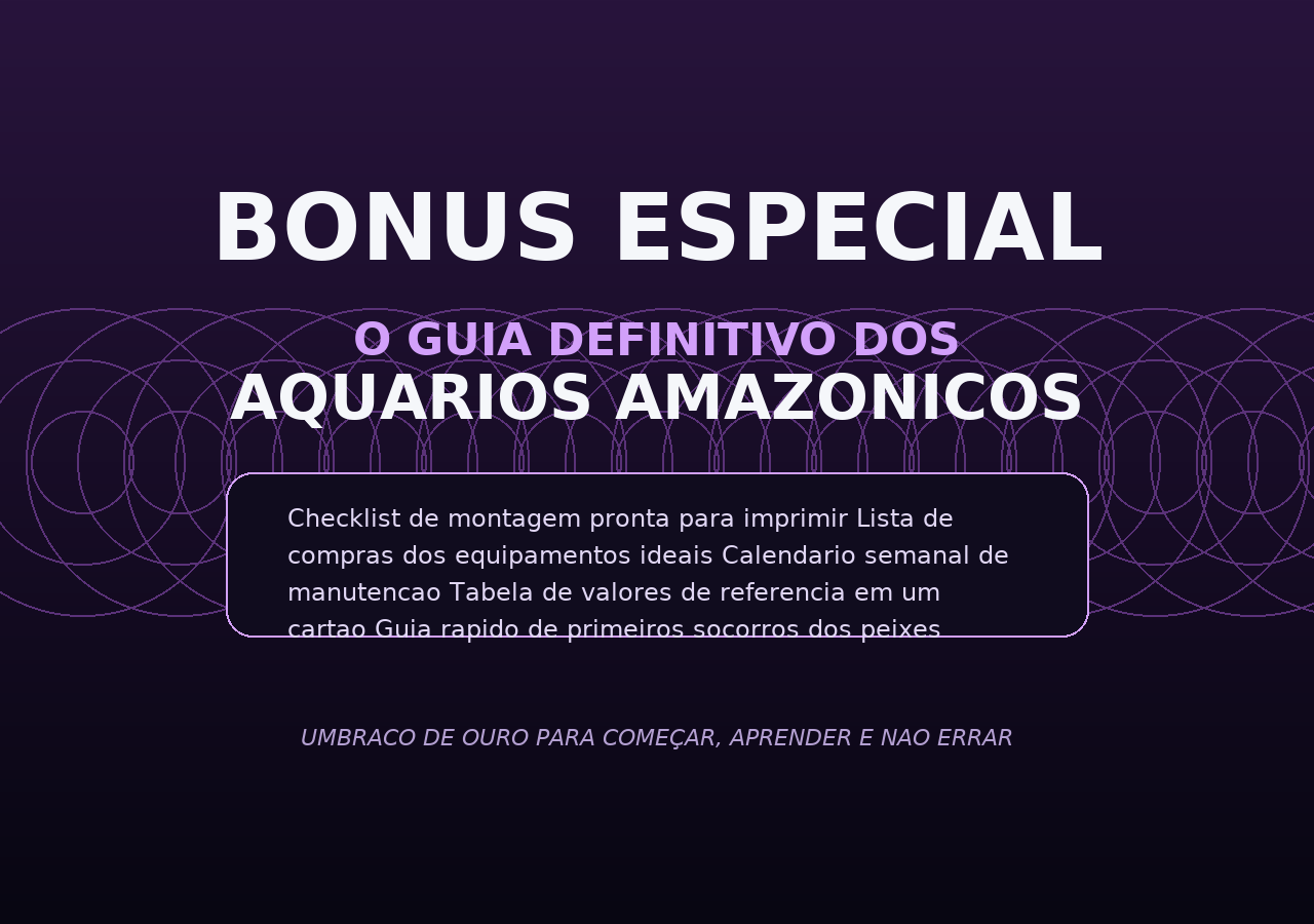 Bônus do ebook